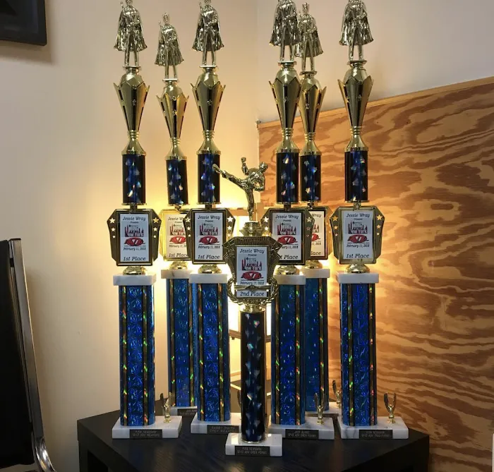 Seishin Martial Arts / Sport Karate Academy Picture 3