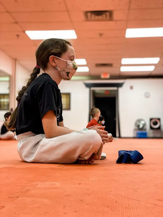 Seishin Martial Arts / Sport Karate Academy Picture 4