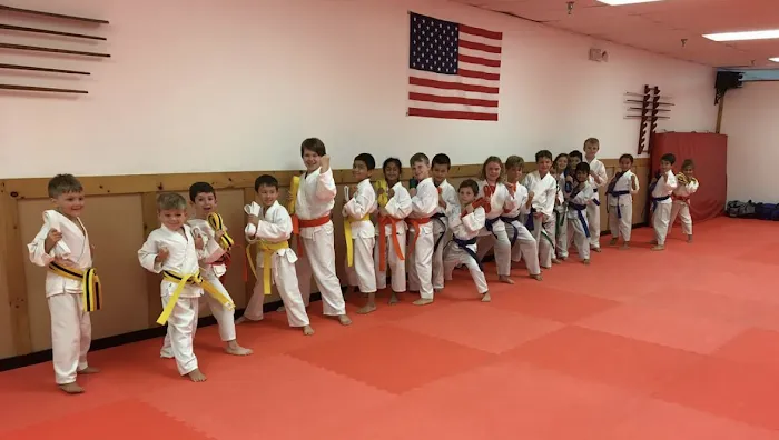 Seishin Martial Arts / Sport Karate Academy Picture 5