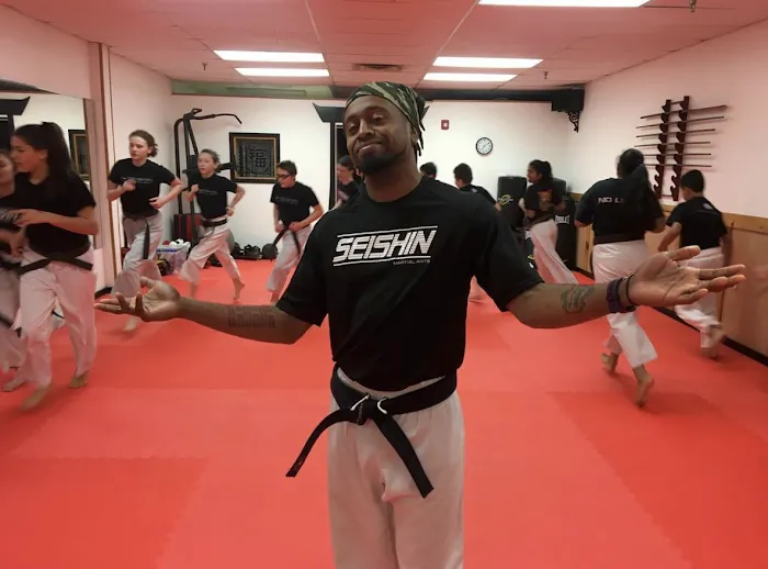 Seishin Martial Arts / Sport Karate Academy Picture 6