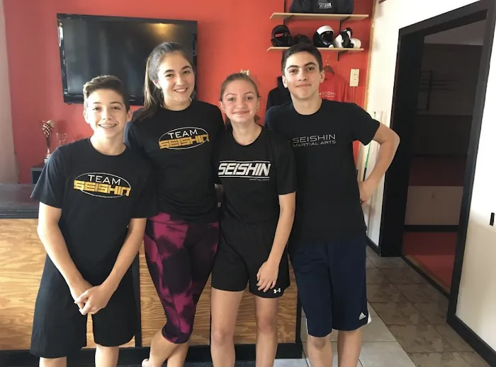 Seishin Martial Arts / Sport Karate Academy Picture 7