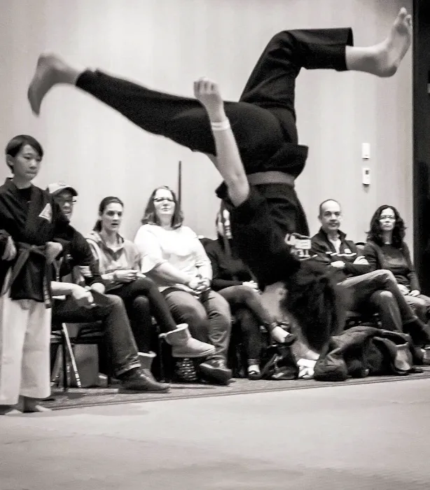 Seishin Martial Arts / Sport Karate Academy Picture 8