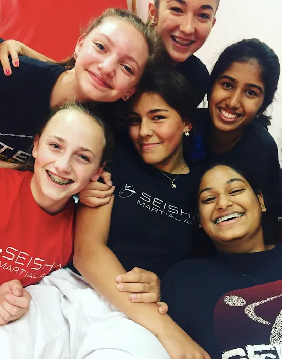 Seishin Martial Arts / Sport Karate Academy Picture 9