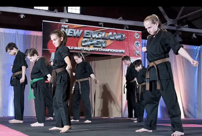 Seishin Martial Arts / Sport Karate Academy Picture 10