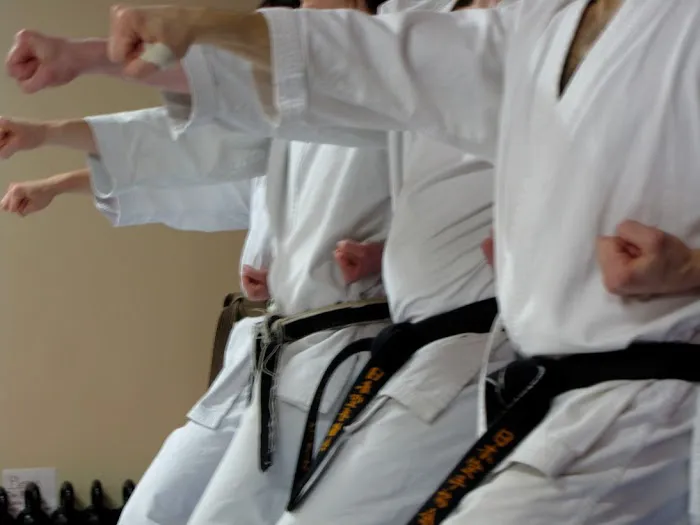 Craig Lowe's Kenpo Karate Studio Picture 9