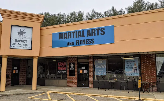 Impact Martial Arts Picture 1