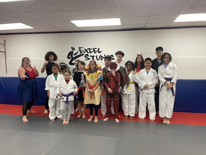 Excel Martial Arts Picture 1