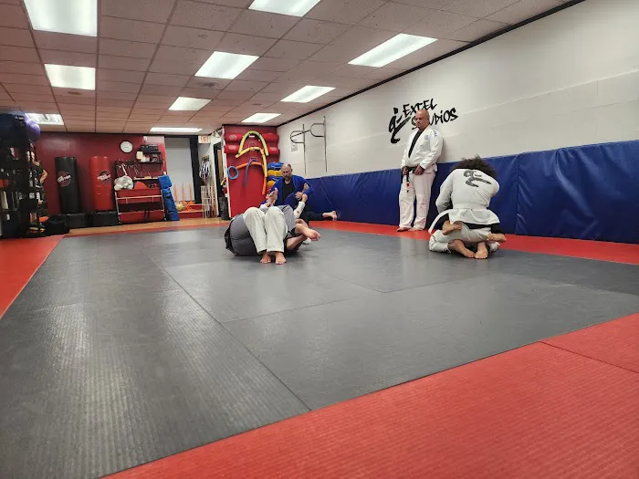 Excel Martial Arts Picture 3