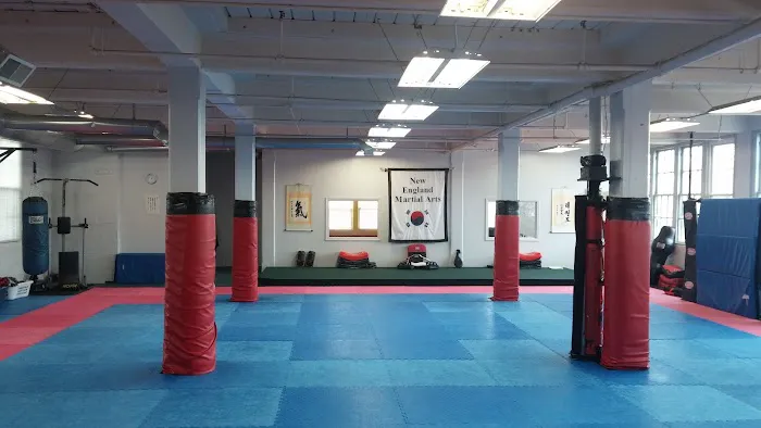 New England Martial Arts & Fitness Picture 2