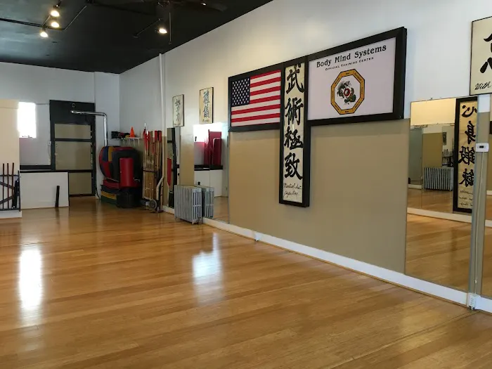 Body Mind Systems Martial Arts Center Picture 2