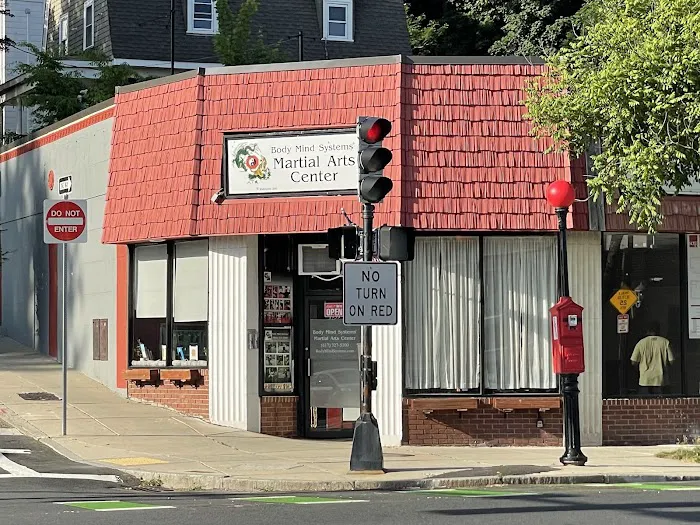 Body Mind Systems Martial Arts Center Picture 3
