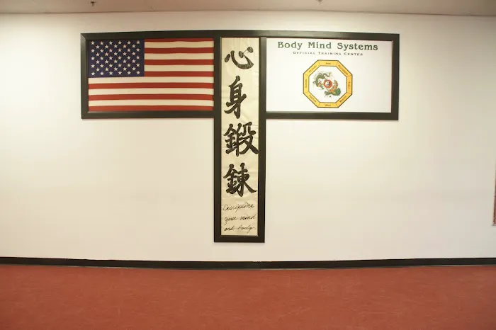 Body Mind Systems Martial Arts Center Picture 7
