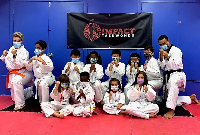 Impact Taekwondo Picture 1