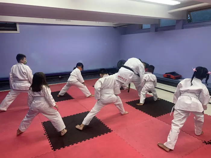 Impact Taekwondo Picture 7