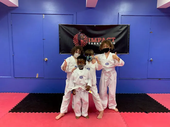 Impact Taekwondo Picture 8