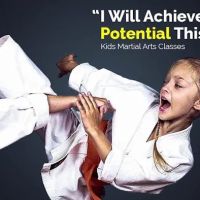 Boston Tae Kwon Do Academy ico