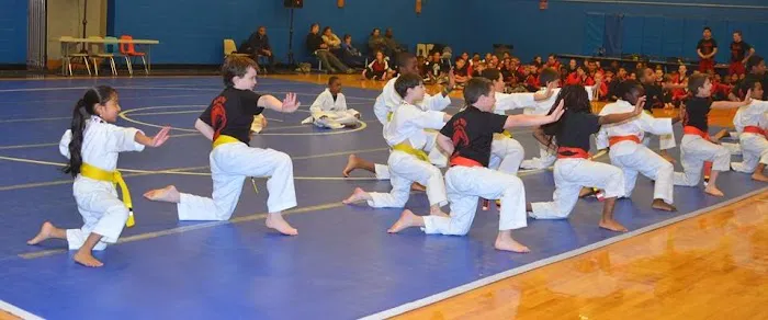Boston Tae Kwon Do Academy Picture 4
