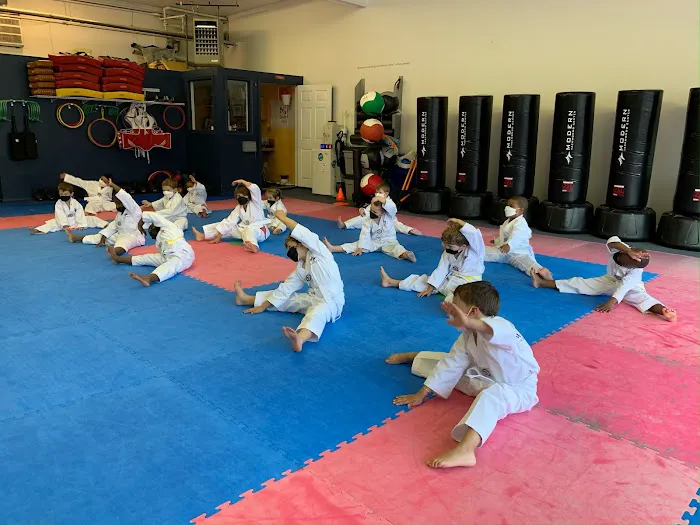 Modern Taekwondo Center Picture 2