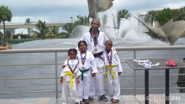 Save Another Youth Taekwondo Inc. Picture 1
