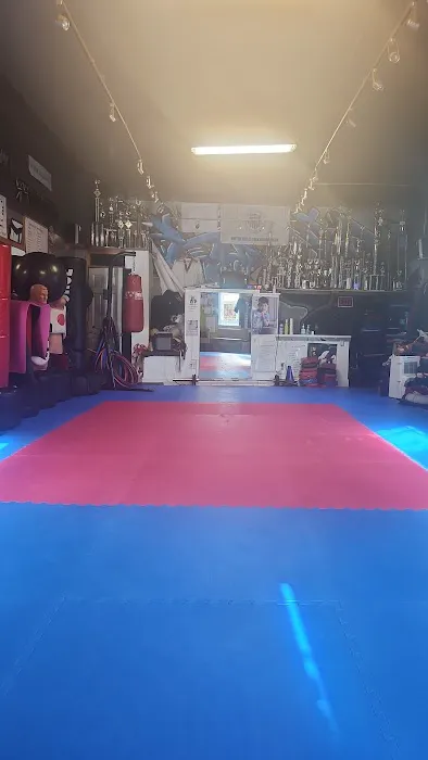 Swaby's Tae Kwon Do Academy Picture 8