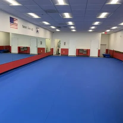 Kicks Karate - Germantown Picture 2