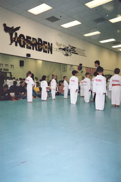 Tigerden Martial Arts / After School Picture 6