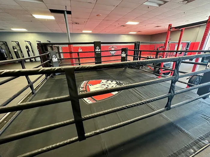 IronHide Academy Picture 1