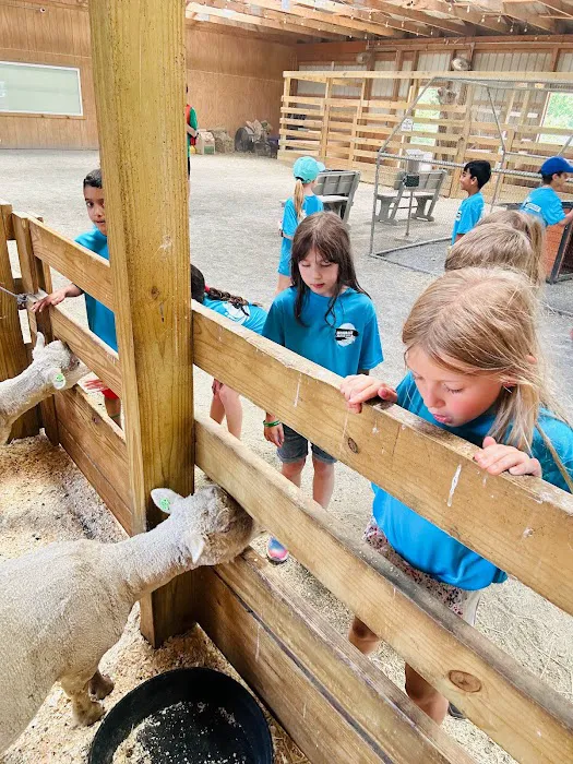 InCourage Martial Arts - Ashburn Picture 10