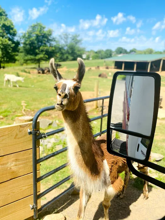 InCourage Martial Arts - Ashburn Picture 9