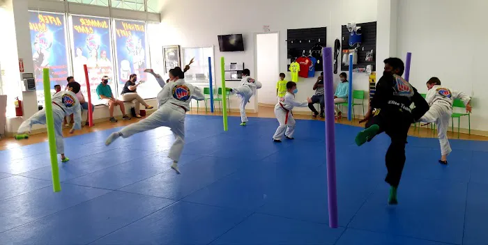 Master Lee's Martial Arts - After School, Summer Camp Picture 2