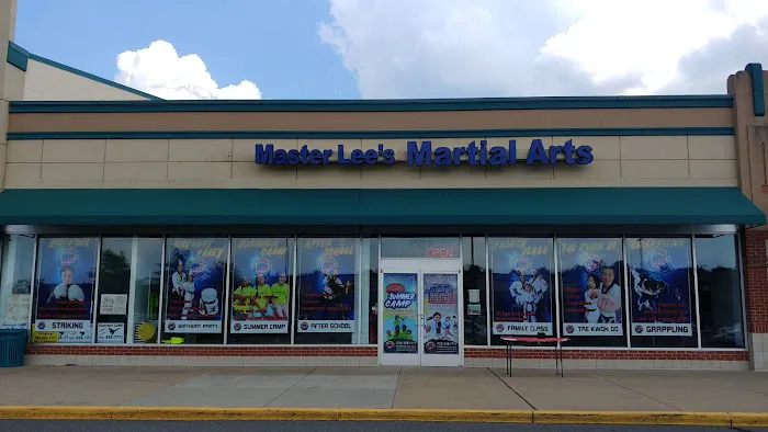 Master Lee's Martial Arts - After School, Summer Camp Picture 4