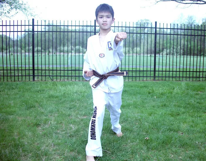 HONGIK TAEKWONDO & MEDITATION - AFTER SCHOOL Picture 2