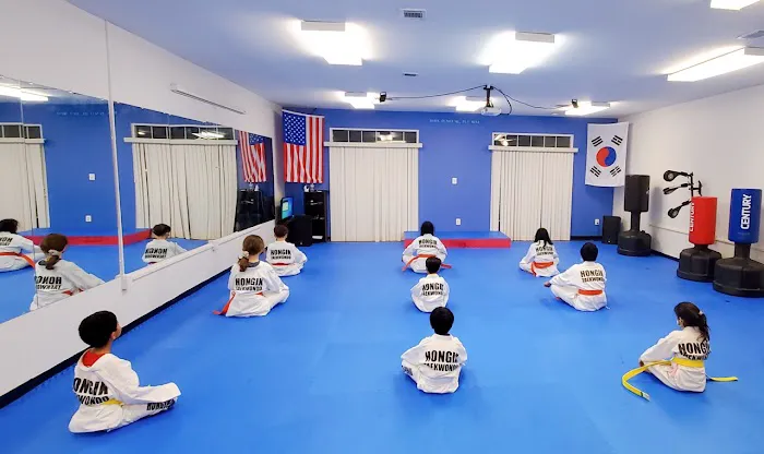 HONGIK TAEKWONDO & MEDITATION - AFTER SCHOOL Picture 3