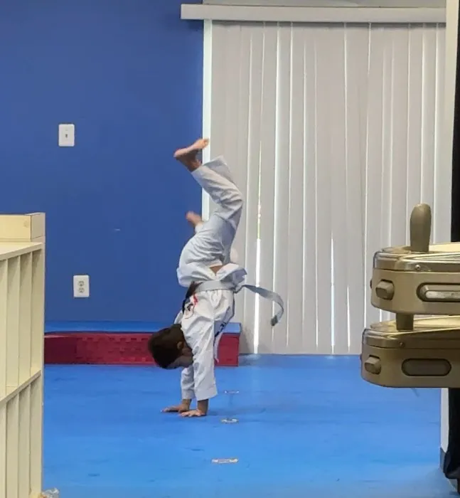 HONGIK TAEKWONDO & MEDITATION - AFTER SCHOOL Picture 5