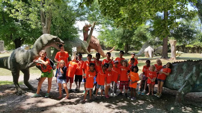 K White Tigers Martial Arts & After School Picture 5