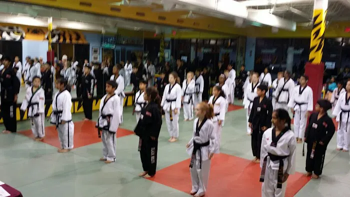 Tiger Den Broad Lands Picture 1