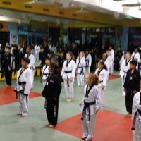 Tiger Den Broad Lands ico