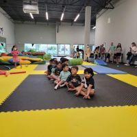 Grand Tiger Martial Arts ico