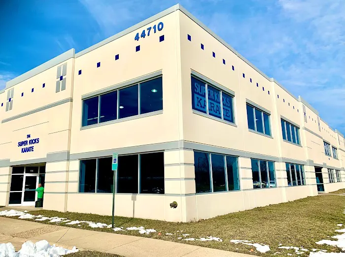 Super Kicks Karate Picture 3