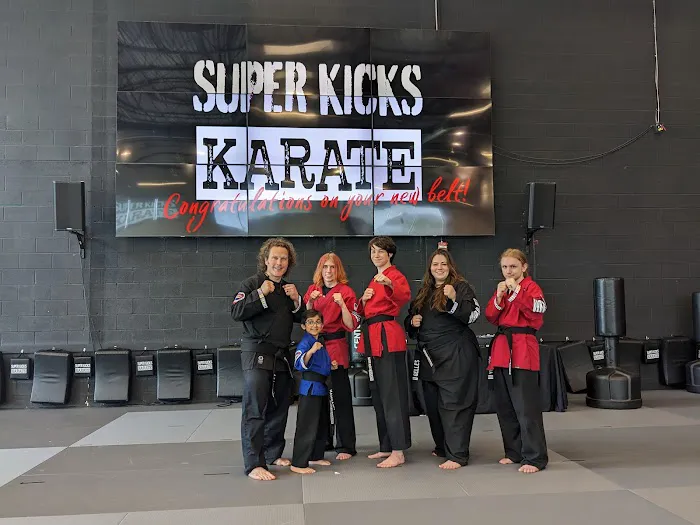 Super Kicks Karate Picture 9