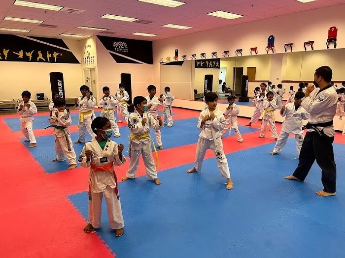 FIT Taekwondo & After School & Summer Camp - Moorefield/Brambleton Picture 2