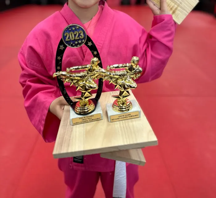 Lead By Example Tae Kwon Do, After School Program & Camps GREAT FALLS Picture 2