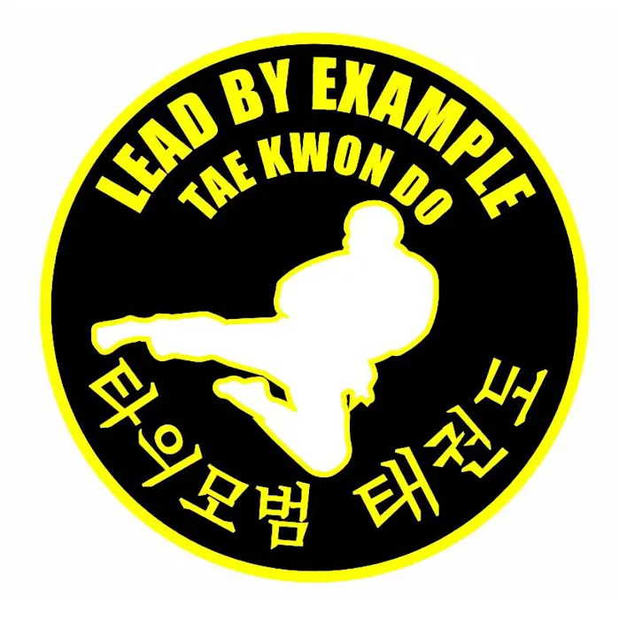 Lead By Example Tae Kwon Do, After School Program & Camps GREAT FALLS Picture 4