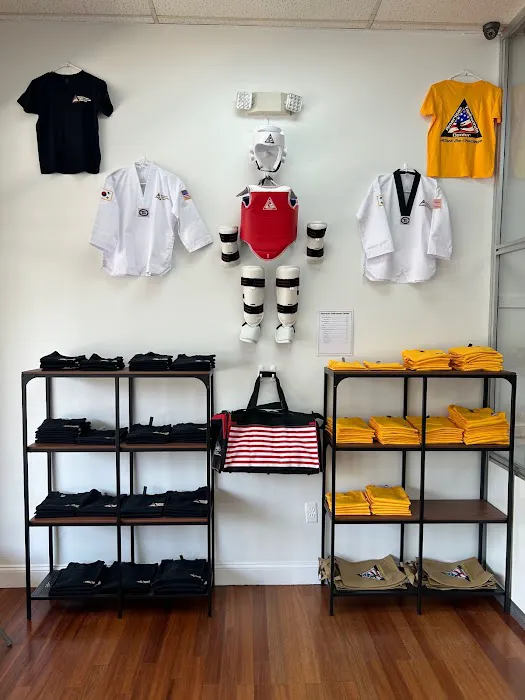 American Taekwondo Center Picture 4