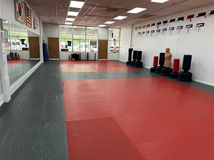 American Taekwondo Center Picture 3