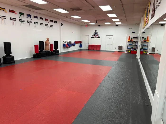 American Taekwondo Center Picture 9
