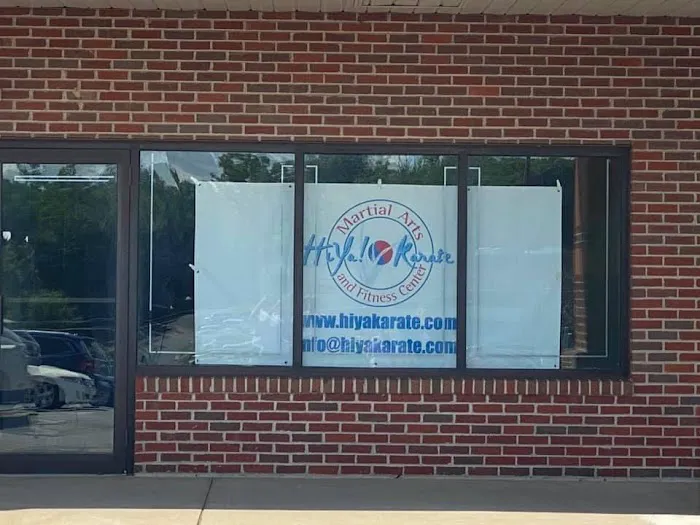 HiYa! Karate Picture 2