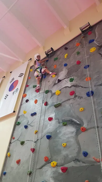 Changs Taekwondo Learning Center Picture 6