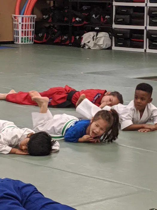 Kong's Taekwondo of Stone Ridge Picture 5