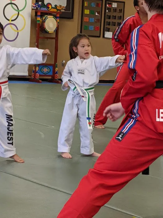 Kong's Taekwondo of Stone Ridge Picture 9